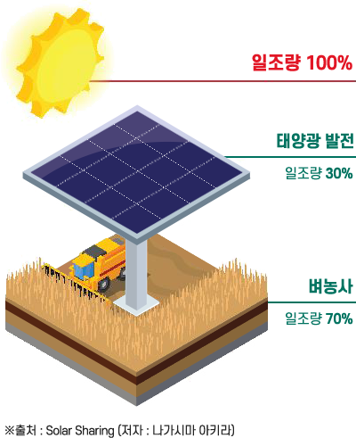 영농형 태양광